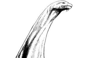 ワンピース 1175 raw ネタバレ ブロントザウルス